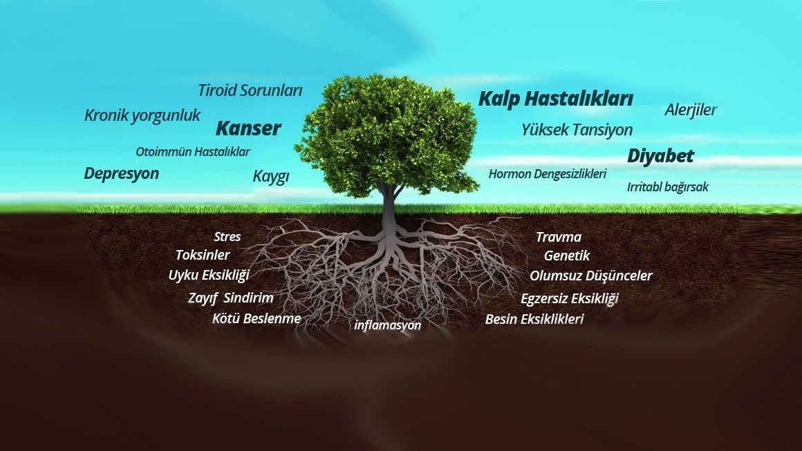 1. Fonksiyonel Tıp nedir?